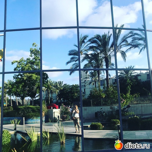 41 ����: ���� 2018