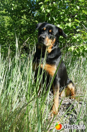 1 ����: ����.