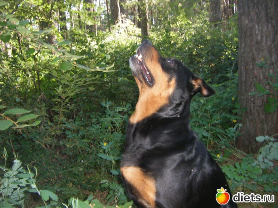 2 фото: Майк.