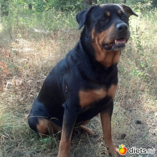 4 фото: Майк.