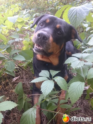 5 ����: ����.