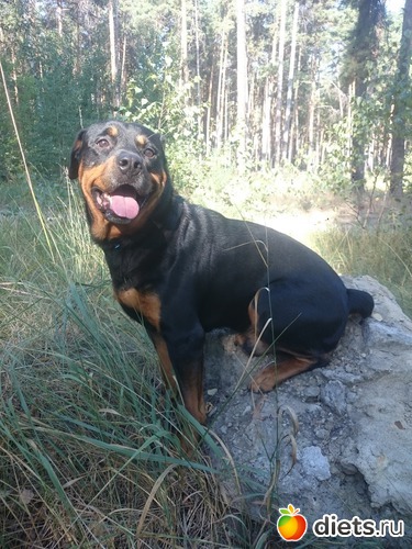 6 ����: ����.