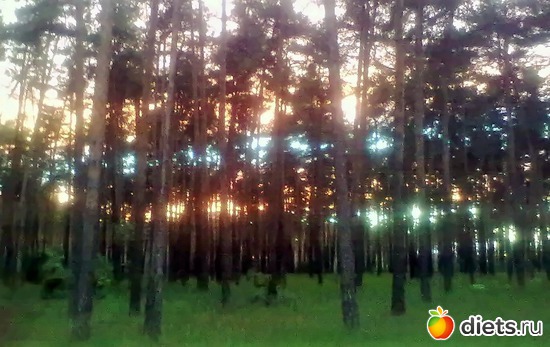 1 ����: ��� ������.