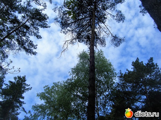 3 ����: ��� ������.