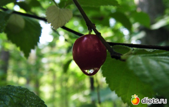 5 фото: Все вокруг.