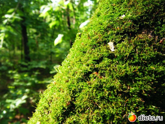 6 ����: ��� ������.