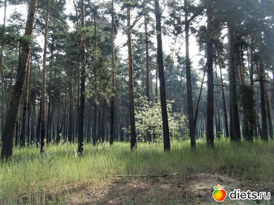 7 ����: ��� ������.