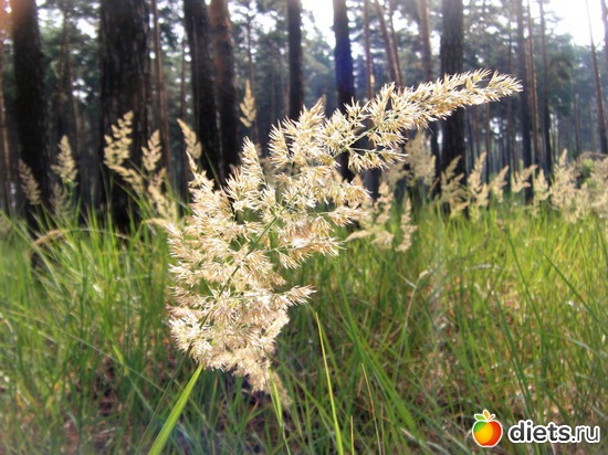 8 ����: ��� ������.