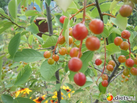 10 ����: ��� ������.