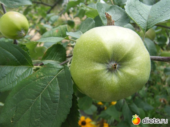 11 ����: ��� ������.