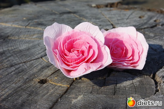 12 ����: �������� � ��������� ����������