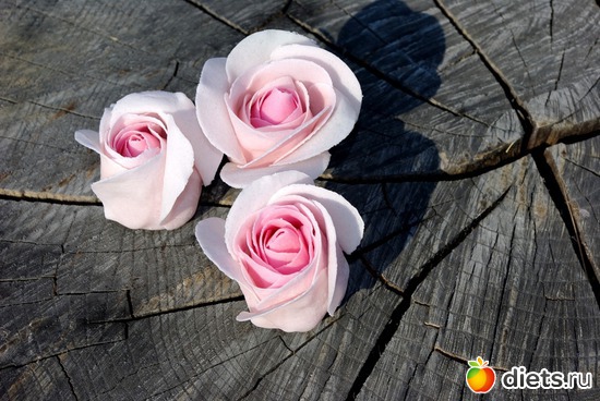 4 ����: �������� � ��������� ����������