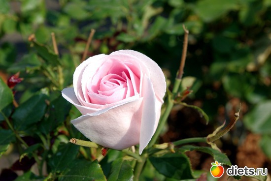 6 ����: �������� � ��������� ����������