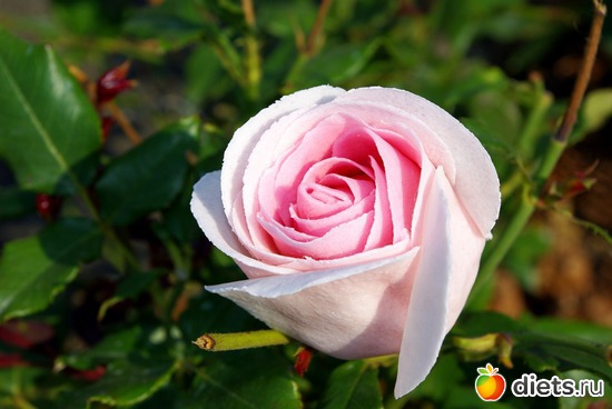 7 ����: �������� � ��������� ����������