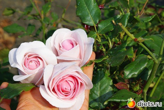 8 ����: �������� � ��������� ����������