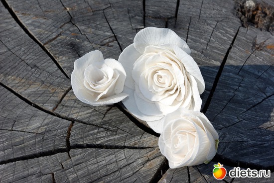 9 ����: �������� � ��������� ����������