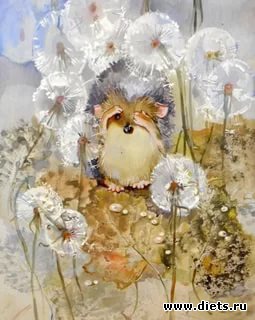 То, что я люблю