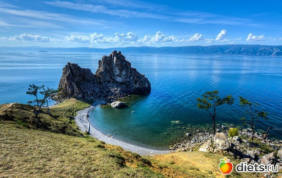 91 ����: ���� 2018