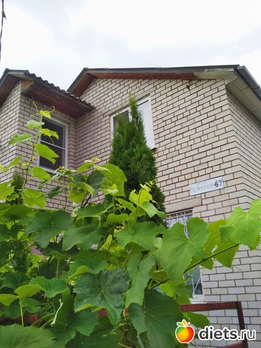 2 ����: ������ ���� 2018