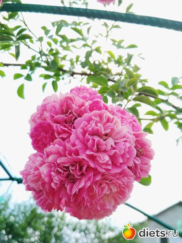 4 ����: ������ ���� 2018