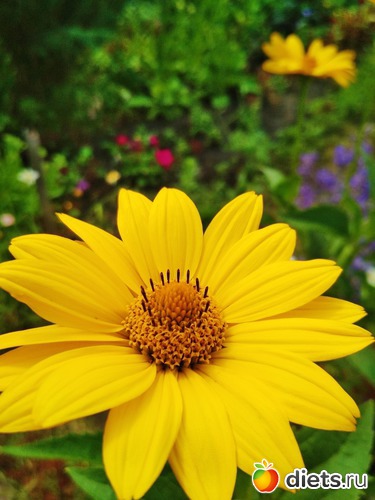 6 фото: Отпуск Июнь 2018