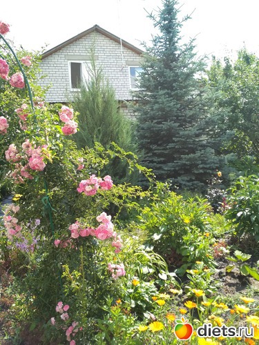 8 ����: ������ ���� 2018