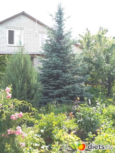 10 ����: ������ ���� 2018