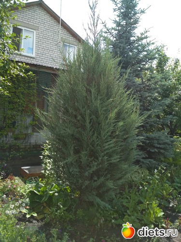 12 ����: ������ ���� 2018