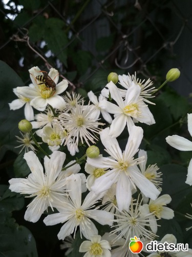 14 ����: ������ ���� 2018