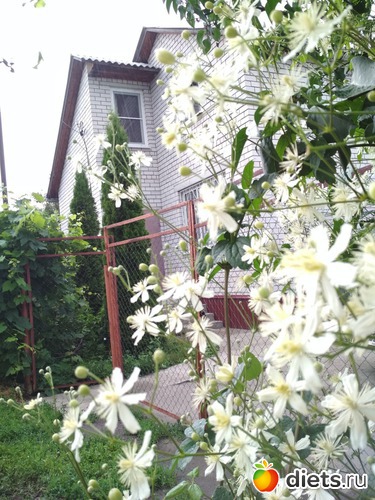 15 фото: Отпуск Июнь 2018