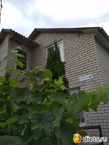 16 ����: ������ ���� 2018