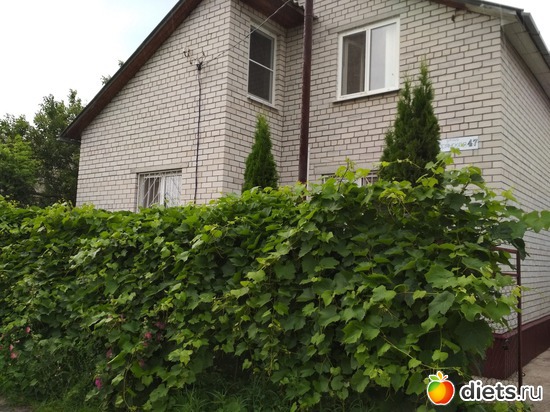 19 ����: ������ ���� 2018