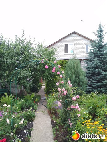 21 ����: ������ ���� 2018