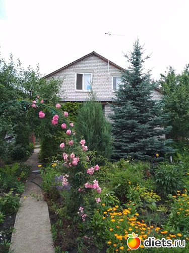 22 ����: ������ ���� 2018