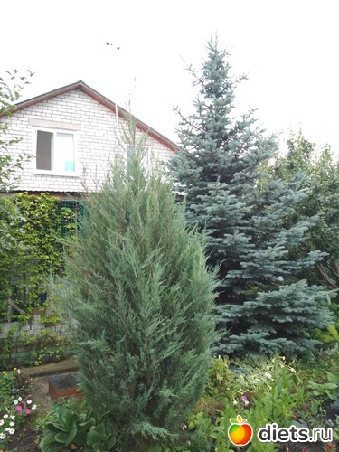 23 ����: ������ ���� 2018