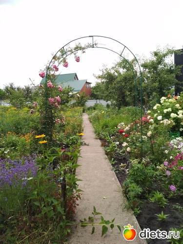 24 ����: ������ ���� 2018