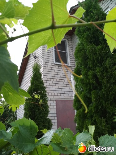 25 ����: ������ ���� 2018