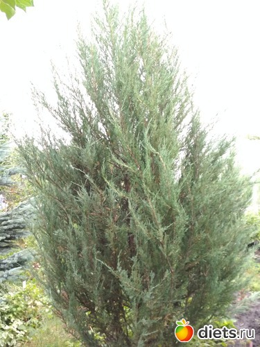 26 ����: ������ ���� 2018