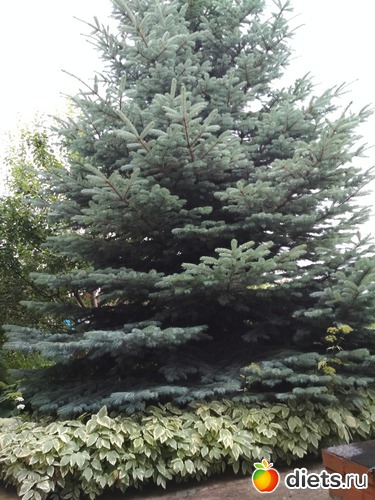 27 ����: ������ ���� 2018