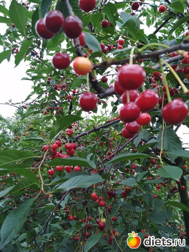 28 ����: ������ ���� 2018