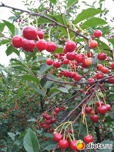 30 ����: ������ ���� 2018