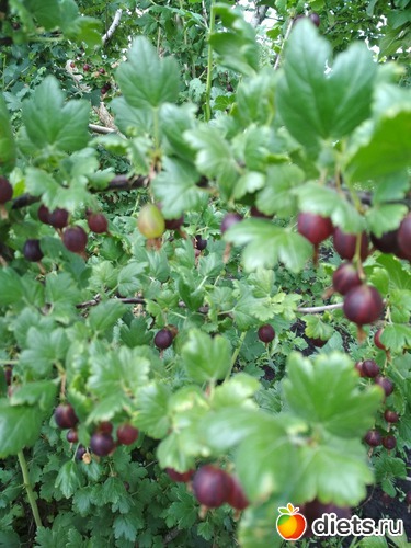 37 ����: ������ ���� 2018