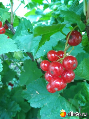 38 ����: ������ ���� 2018