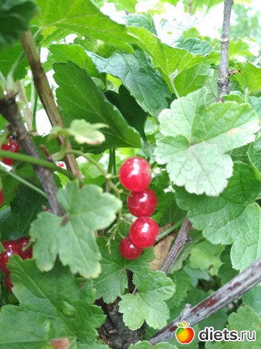 39 ����: ������ ���� 2018