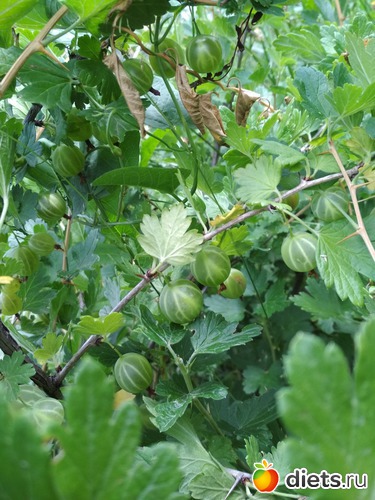 40 ����: ������ ���� 2018