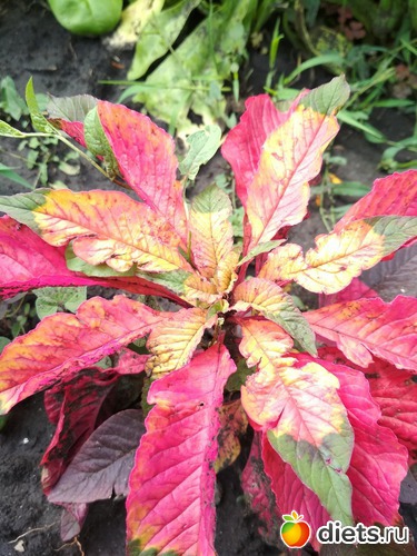 45 ����: ������ ���� 2018