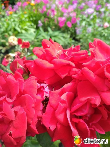 46 ����: ������ ���� 2018