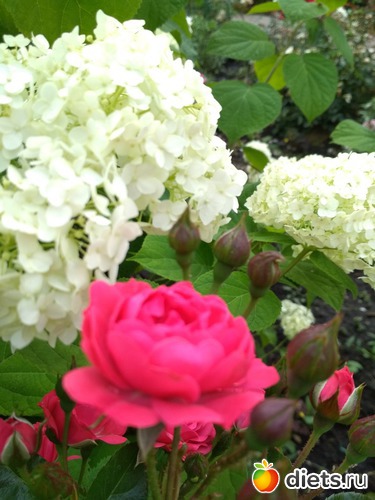 48 ����: ������ ���� 2018