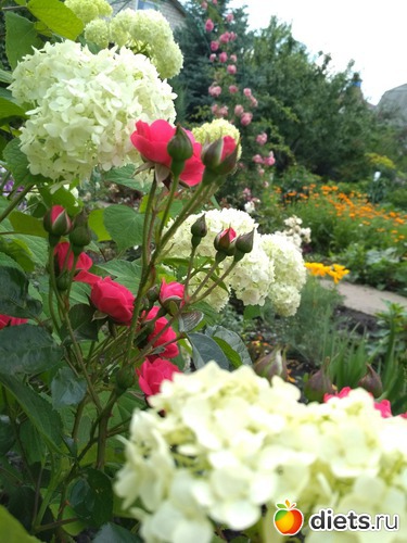 1 ����: ������ ���� 2018-2