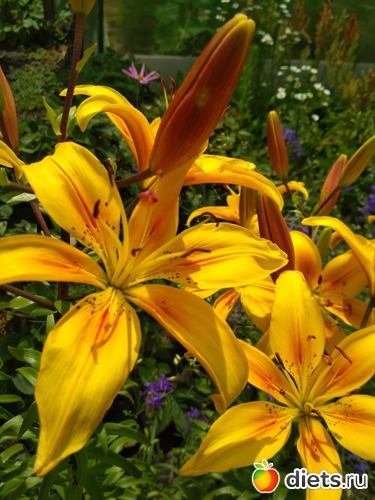 3 ����: ������ ���� 2018-2